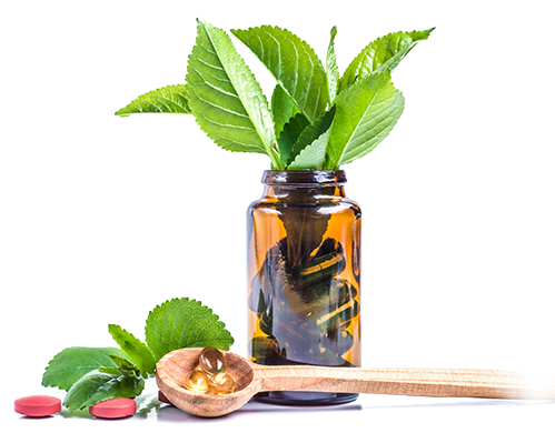 Ricerca E Sviluppo Probiotici